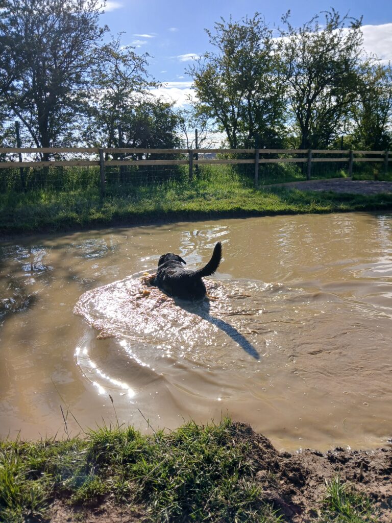 inbound2926950649052800320 768x1024