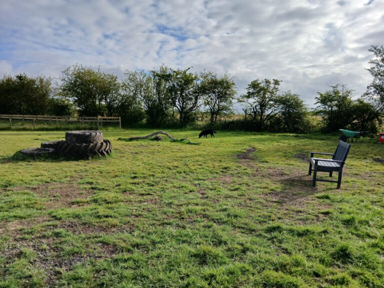 inbound5224923694740523627 768x576