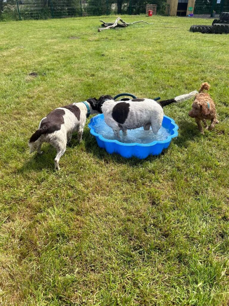 inbound6241183732329684656 768x1024