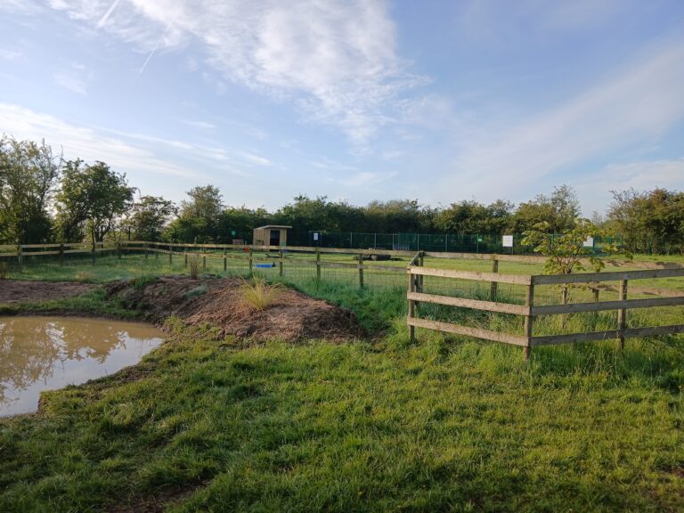 inbound6403580414903258790 768x576