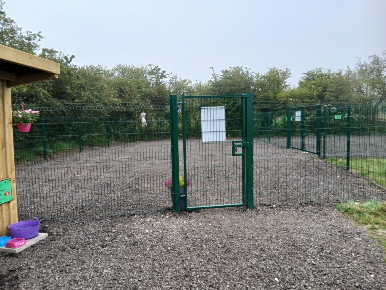 inbound6538131144244875779 768x576