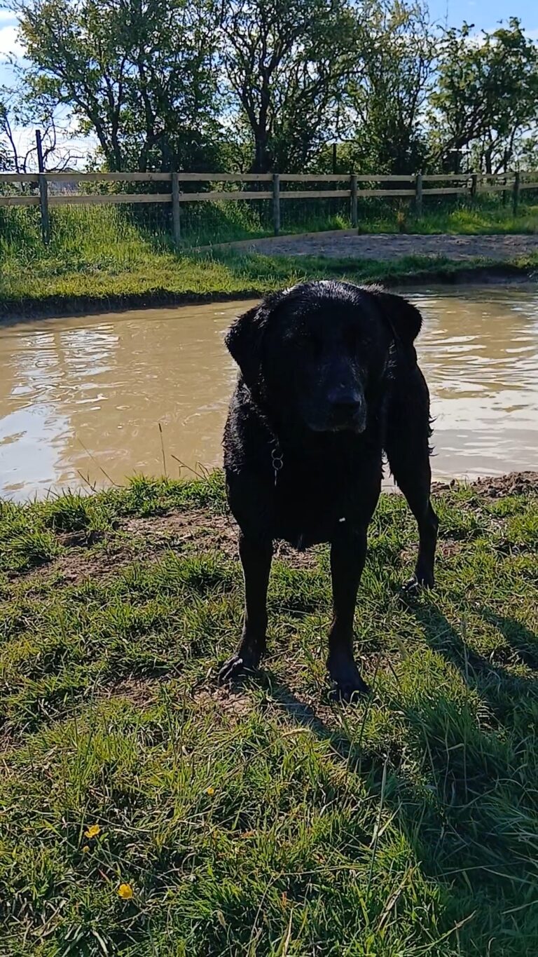 inbound6546453304043541568 768x1365