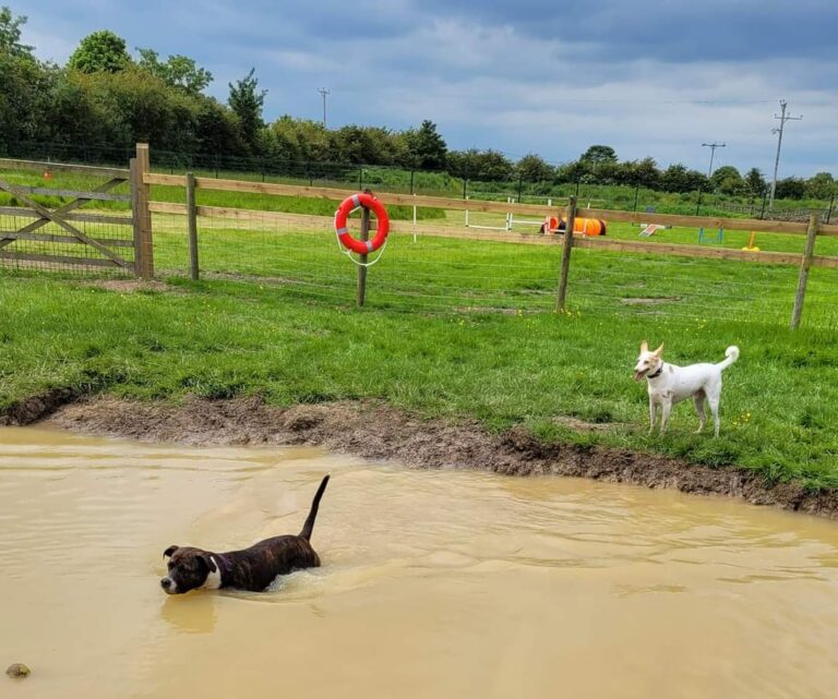 inbound967167296439531945 768x641