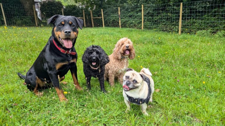 6a870bba 2bee 4385 a3b8 91c9737626f6 768x432