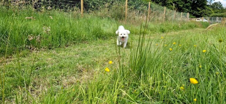 VideoCapture 20240713 152535 768x355