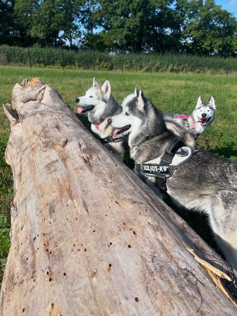 WhatsApp Image 2024 09 09 at 18.20.23 768x1024