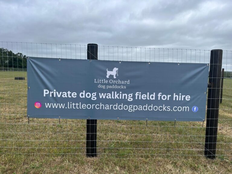 WhatsApp Image 2024 09 09 at 18.20.51 768x576