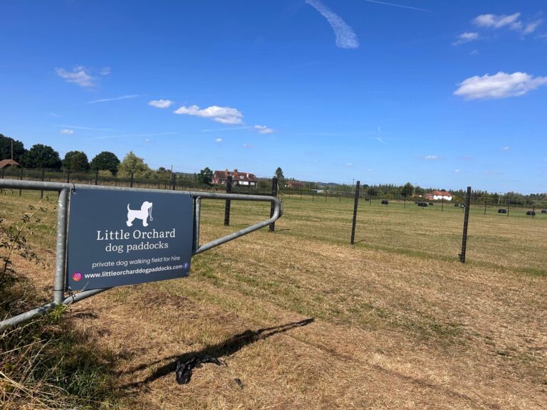 WhatsApp Image 2024 09 09 at 18.21.11 768x576