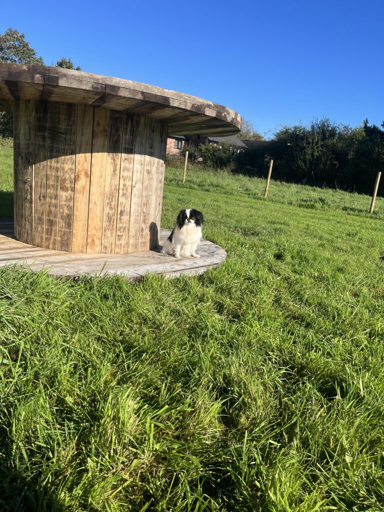 04F77594 092E 418E 87AB 698F89F8BE55 768x1024