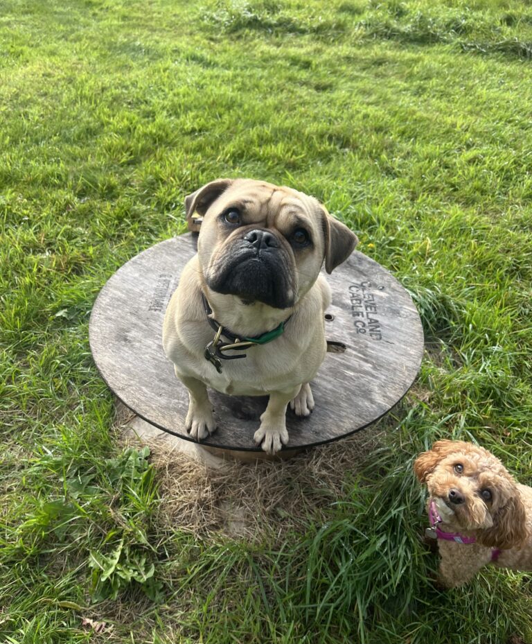 34932B36 2A47 4318 9323 7EF9B62A656E 768x929