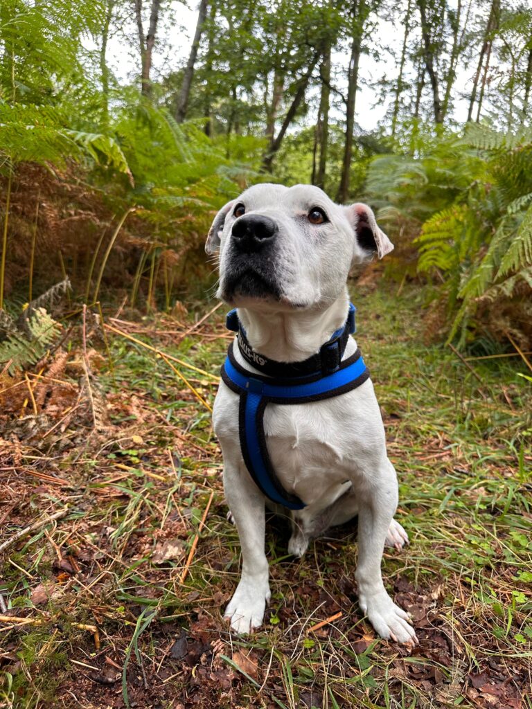 44CB09F4 9E7C 4DF9 95B3 91CE1F70B172 768x1024