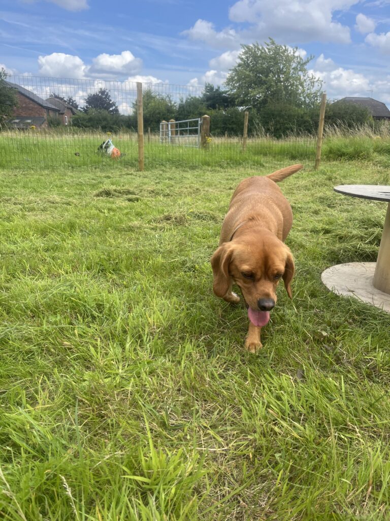 B58AAD98 9BCC 4525 8E48 7764903BC015 768x1024