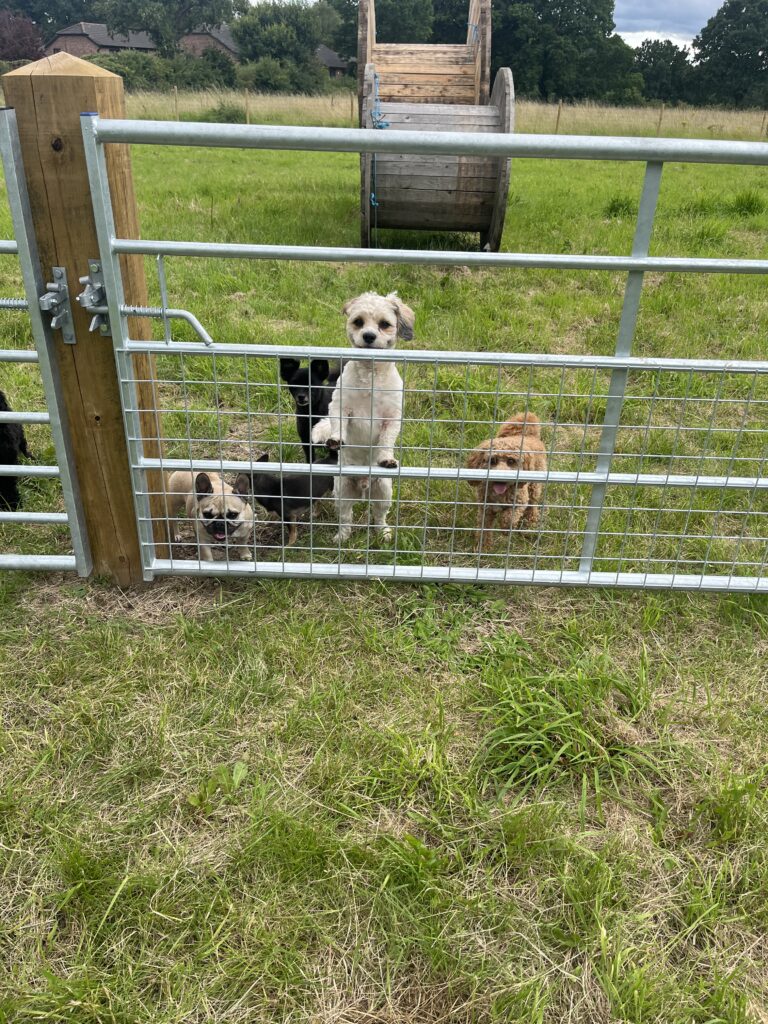 B722AAA7 BC29 49AF A863 46715F583811 768x1024