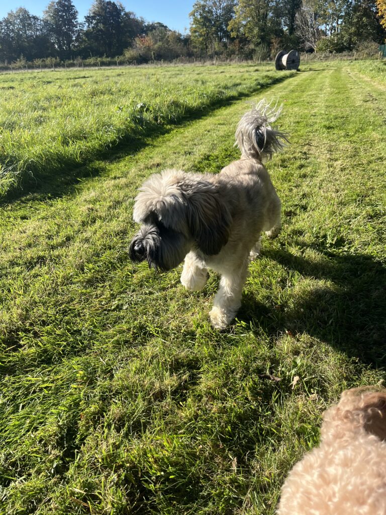 CF63A8F2 87A8 4975 BC24 981B1A6A2ED5 768x1024