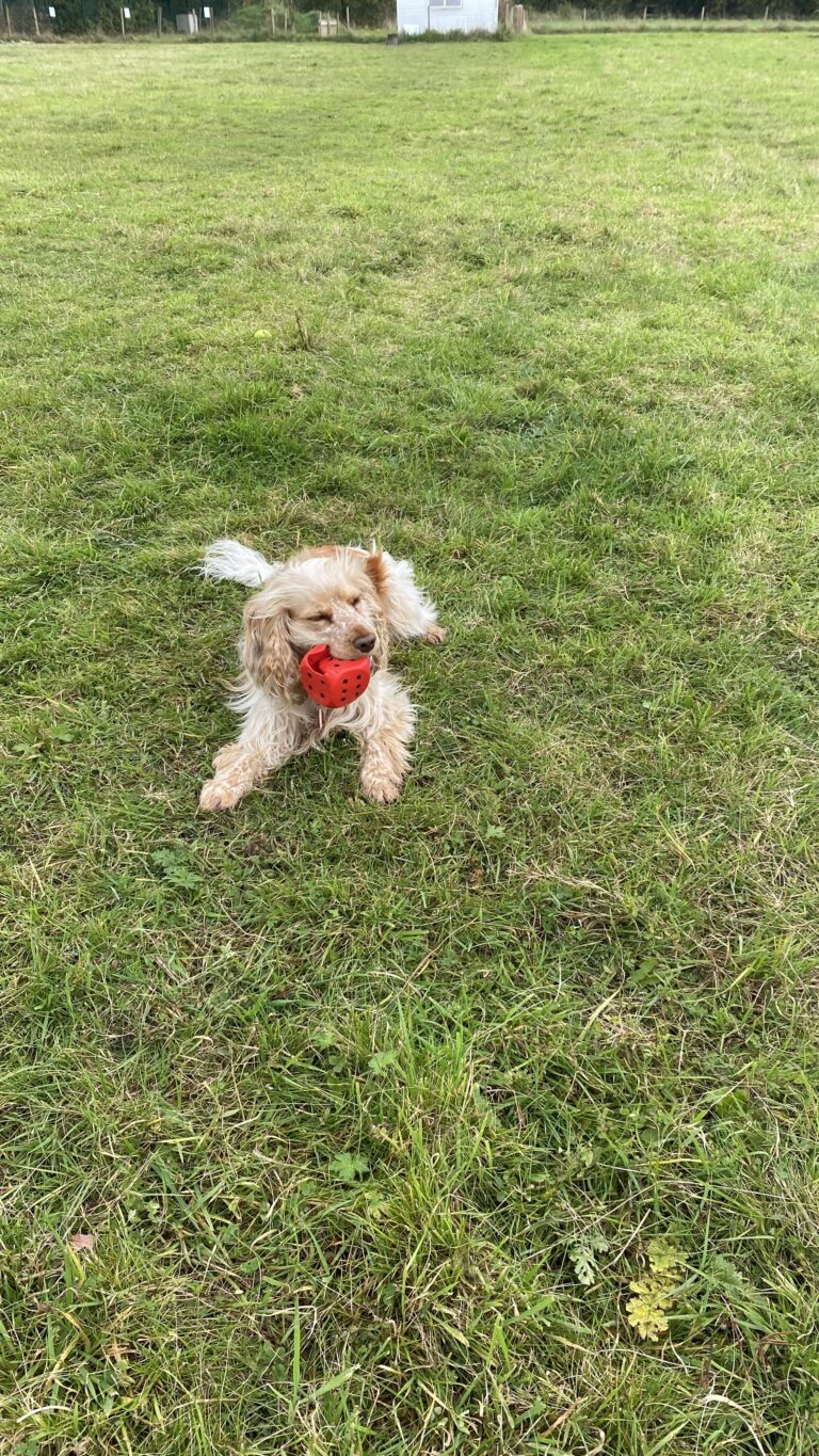 FDED472F F16C 4F75 AB58 47ECFCA3DA12 768x1365