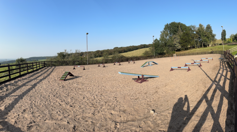 Screenshot 2024 10 22 at 09.47.22 768x430