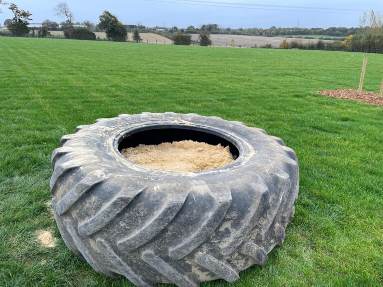 WhatsApp Image 2024 10 21 at 14.45.32 768x576