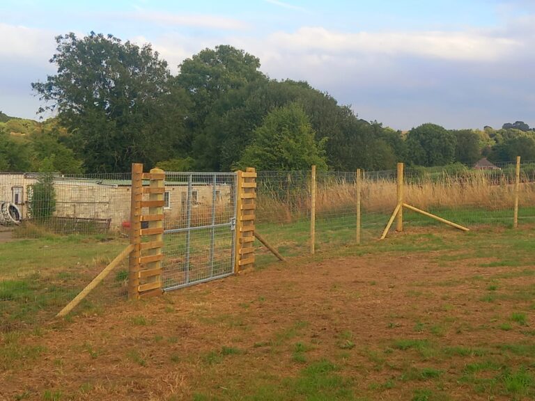 inbound1863489229509525760 768x576