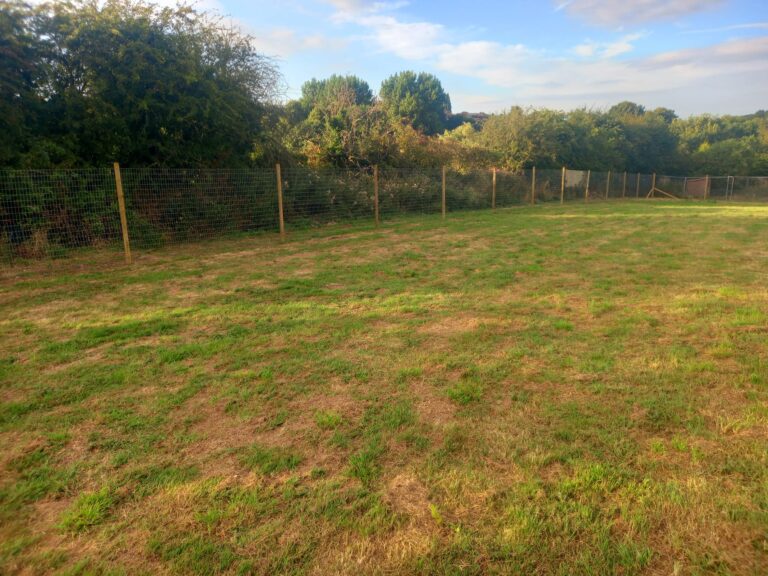 inbound3426937139252691627 768x576