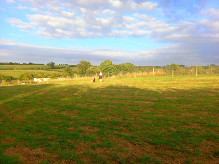 inbound4672974858663525660 768x576