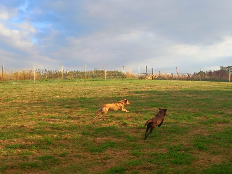 inbound6620431806610258394 768x576