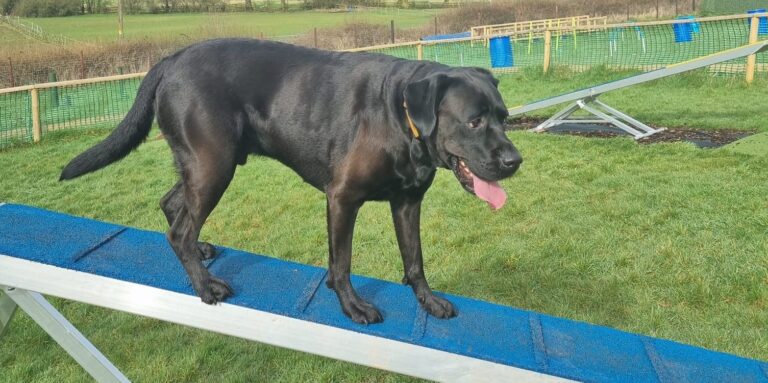 DF Member Photo 160324 1 768x383