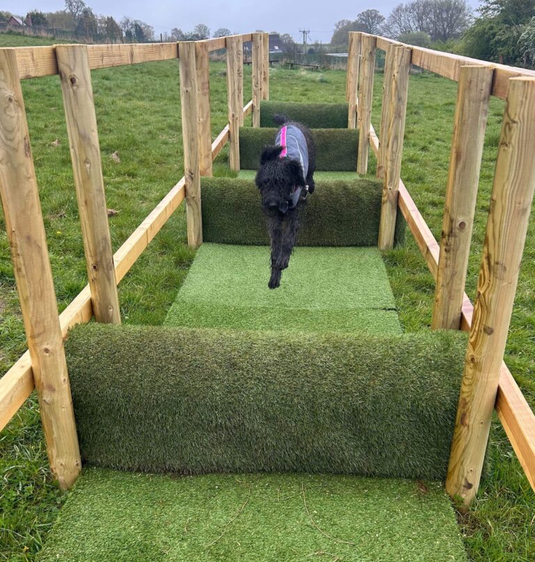 DF Photo Member 250424 2 768x806