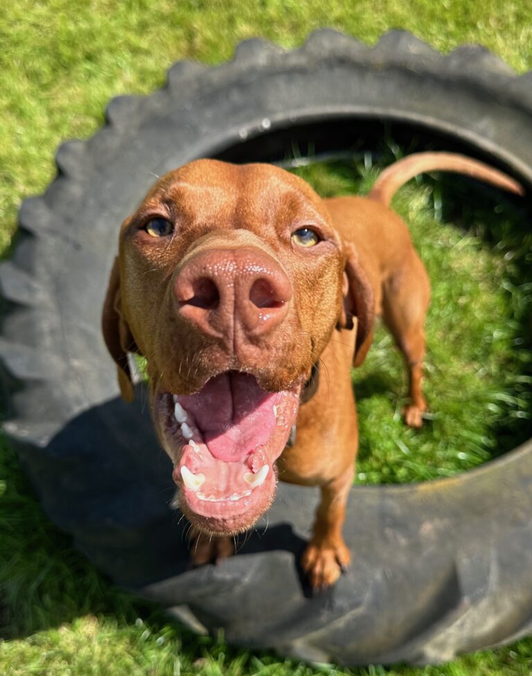 DF Photo Member Photo 090823 3 768x976