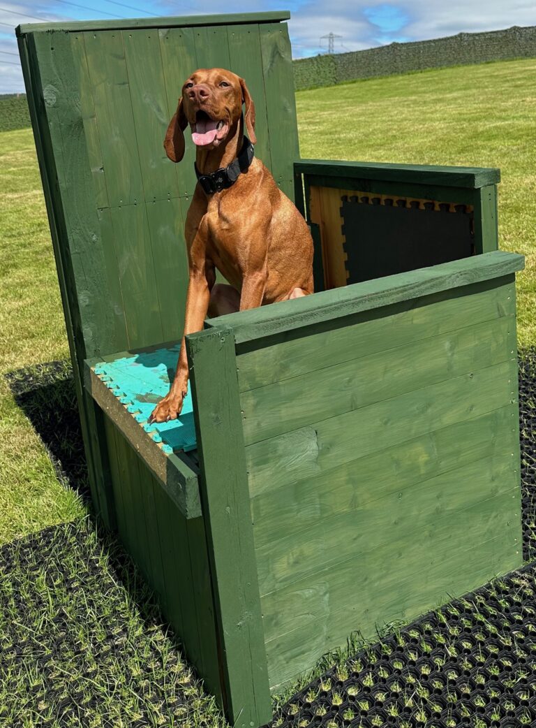 DF Photo Member Photo 090823 768x1042