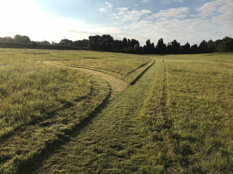 TM Grass Cut 1 768x576