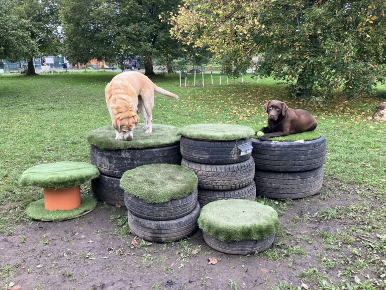tyres 768x576