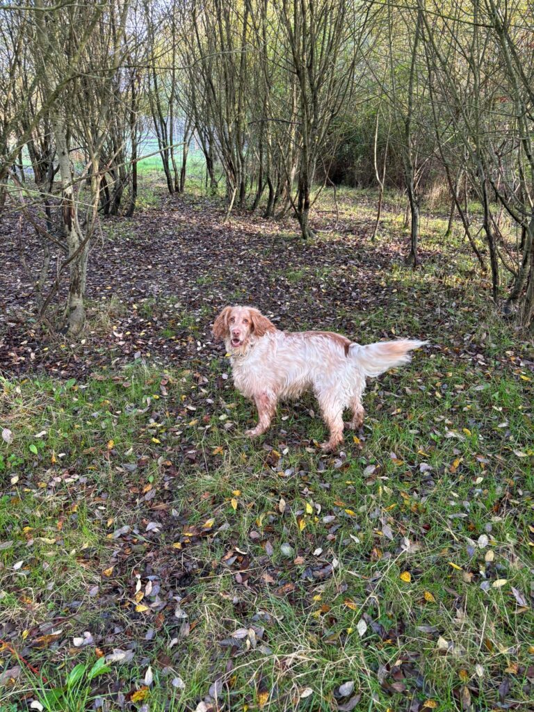 463451336 453101301122917 4277421950768097832 n 768x1024