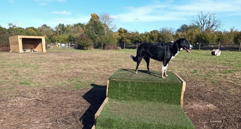 823e6380 d651 4b3a 89fc 55f9dbd48225 768x413