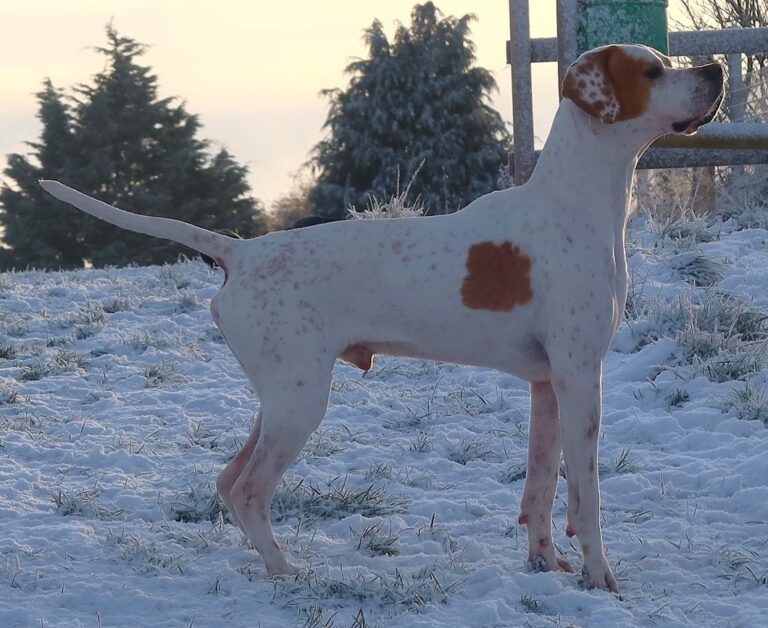 2025 Collage 5 768x628