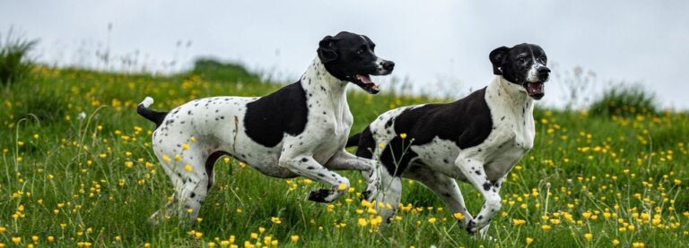 DF Member Photo May2024 1 768x277