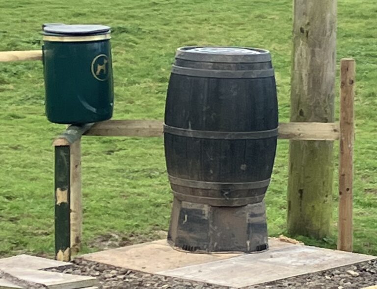 DF Photo LR 261124 1 768x590