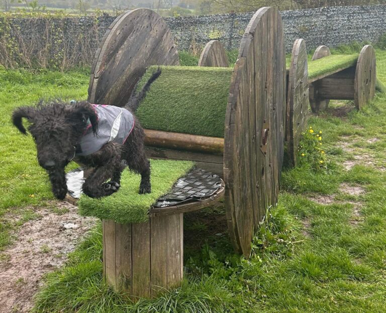 DF Photo Member Photo 250424 1 768x623