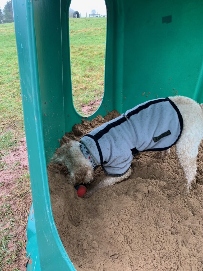 DF Photo New Sandpit 160323 2 768x1024