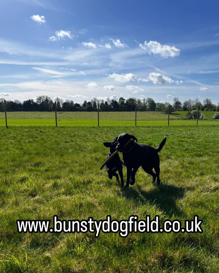 8C53ABFB 10FB 4274 879B 99F0DF108741 768x960