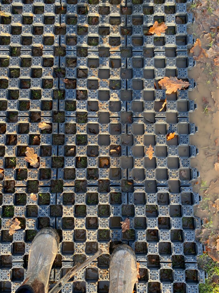 DF Photo LF 2711241 768x1024