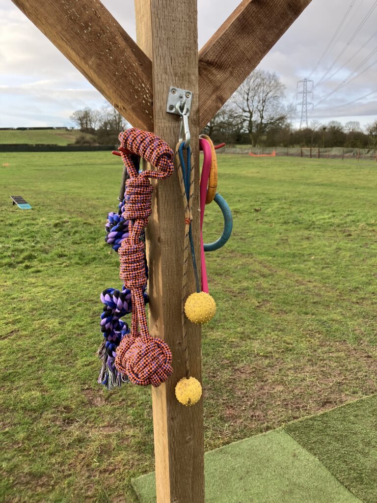 DF Photo Long Run Tetherball 3 768x1024