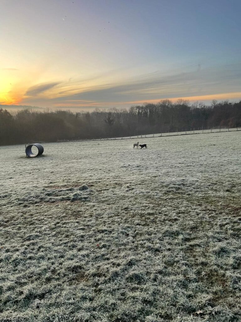 PEMBS 768x1024