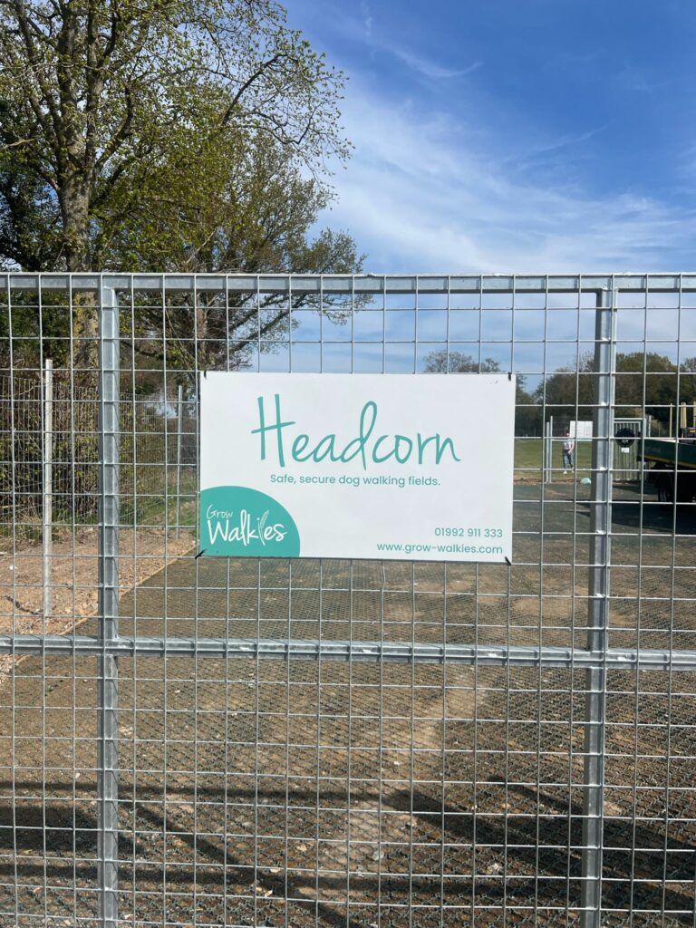 WhatsApp Image 2025 04 09 at 16.45.28 1 768x1024