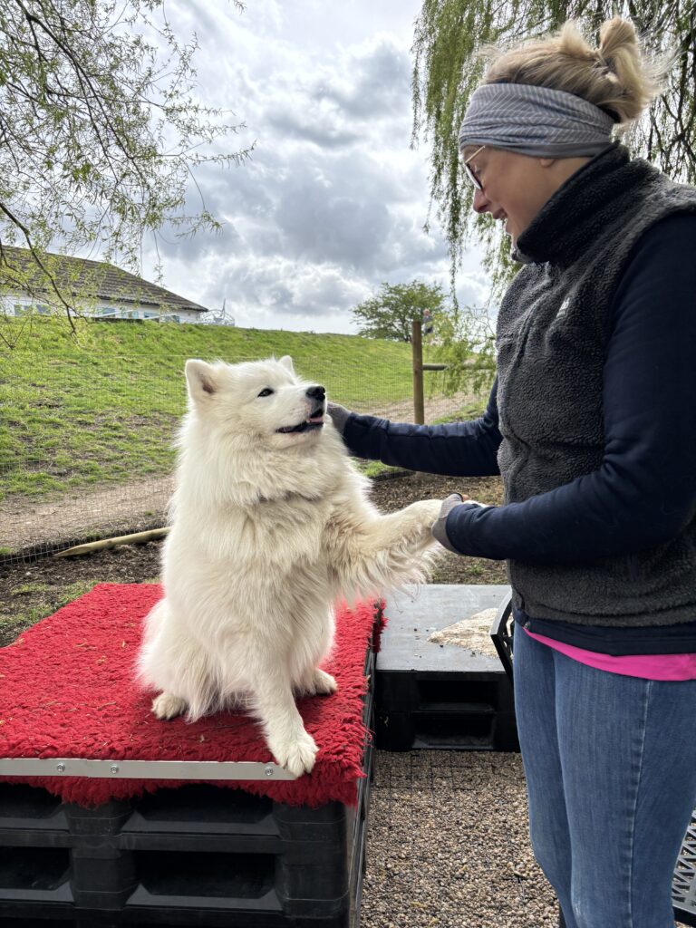 tempImage9HIcrc 768x1024