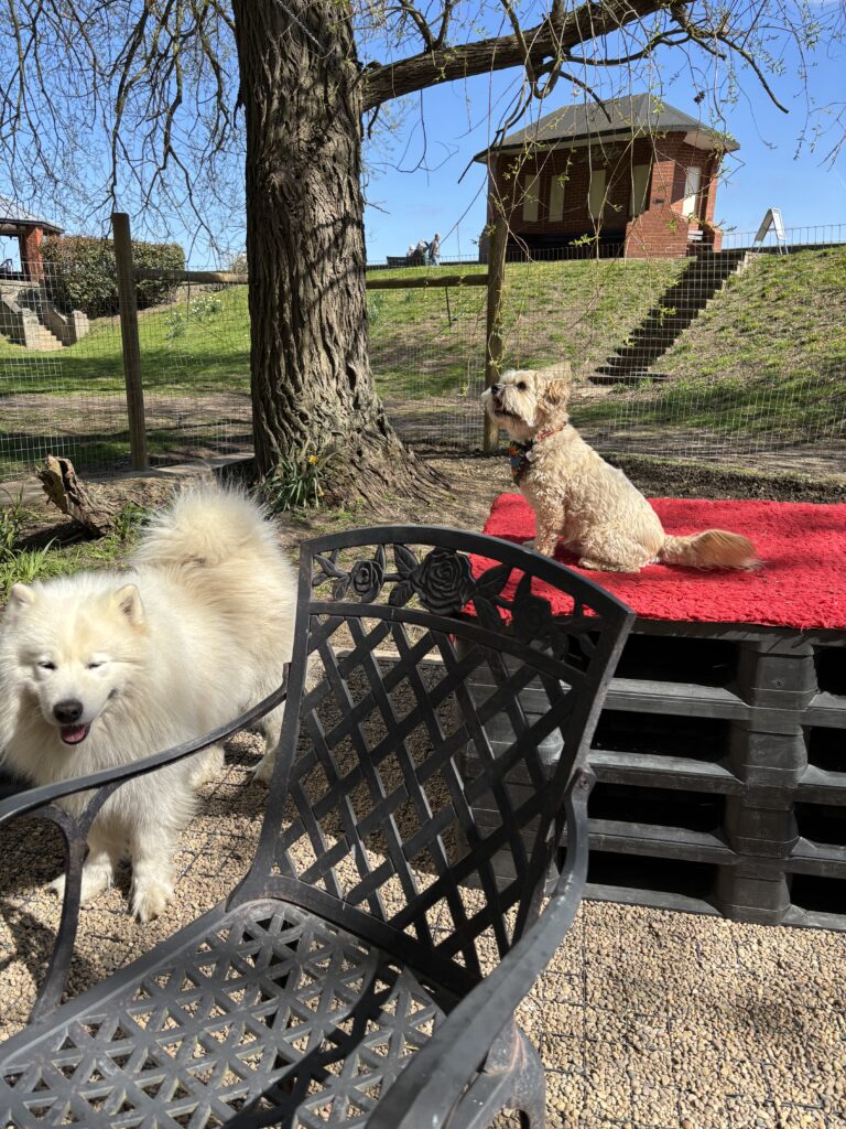 tempImageLm9882 768x1024