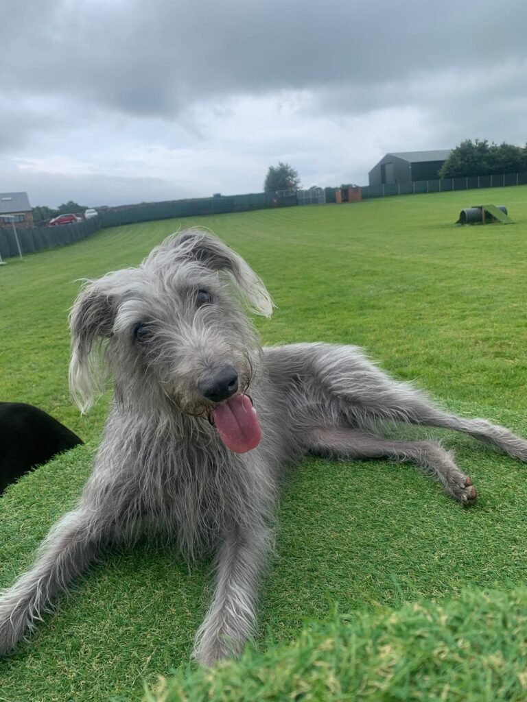 44150158 a629 4178 bde9 6644e7e2515e 1 768x1024