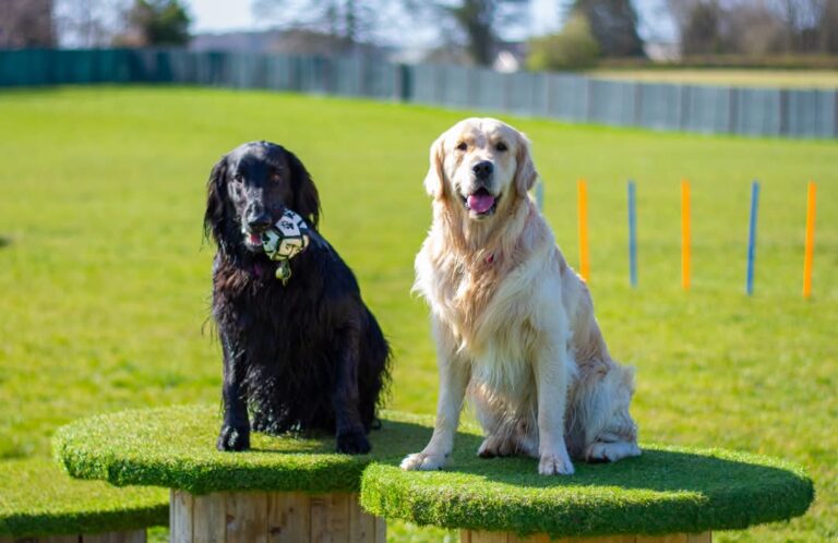 8c023b41 f1fd 4d31 9868 da6cd1d71a49 768x498