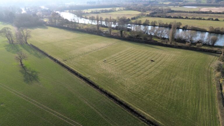 Dog 109 condensed 768x432