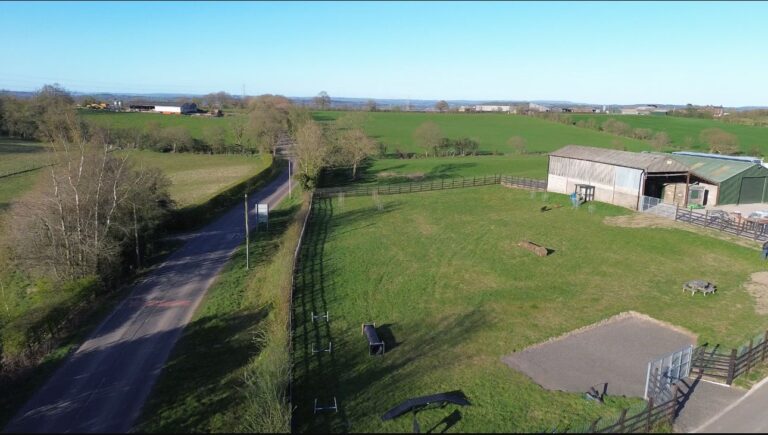 c980e1cc f370 4241 ad20 0fdb426f2662 768x435