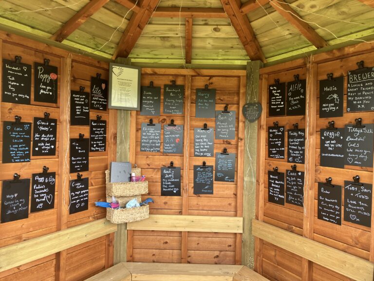 DF Pegoda full 768x576